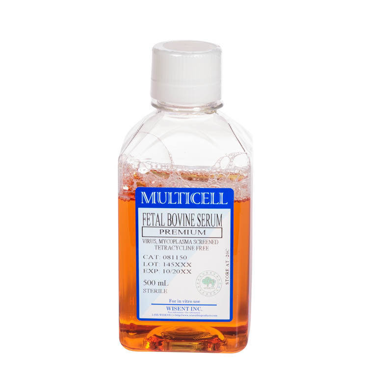 081-150 - Fetal Bovine Serum Tetracycline free 500mL