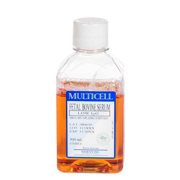 080-650 - Fetal Bovine Serum Low IGG 500mL