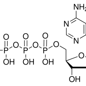 800-405 TL-dATP 100mM